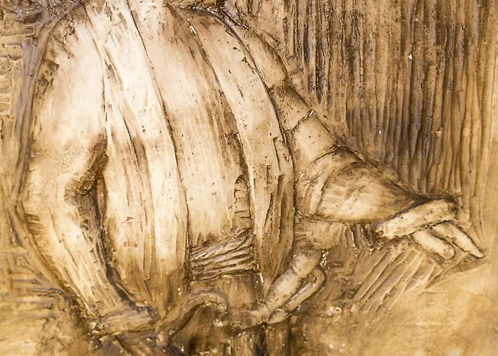 Hotel Le Roi Théodore&spa 4*