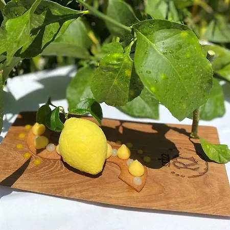 Hotel Le Roi Théodore&spa