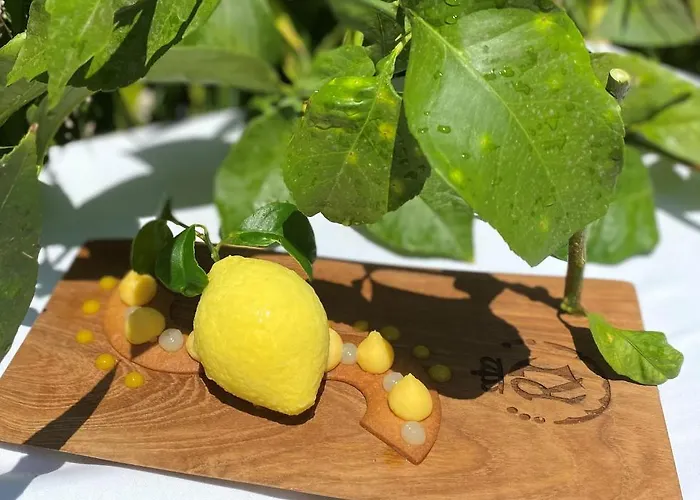 Hotel Le Roi Théodore&spa